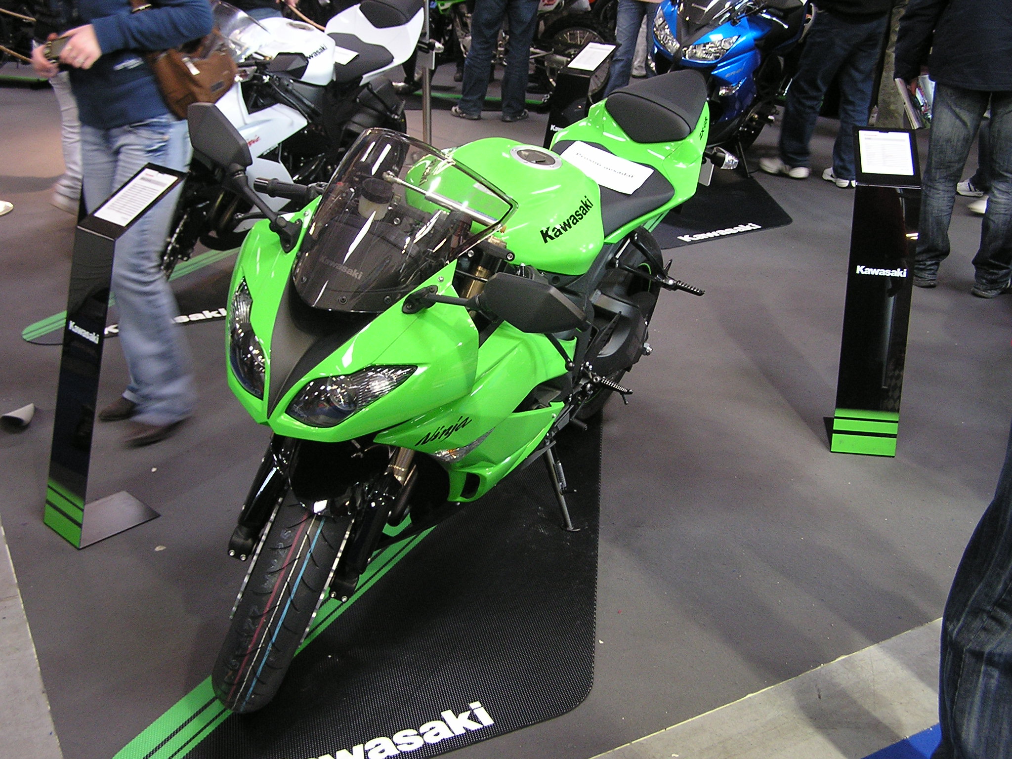 P1011571.JPG