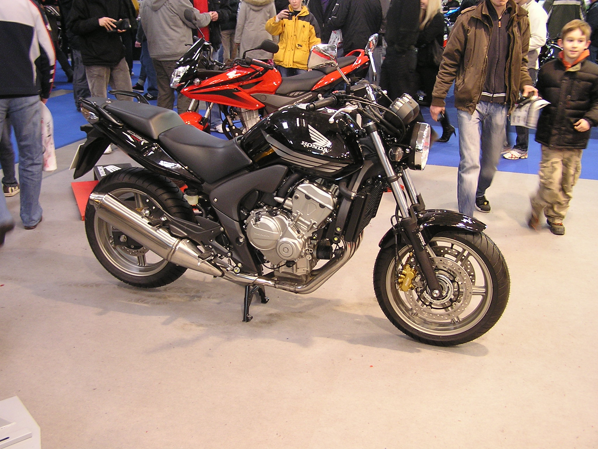 P1011597.JPG