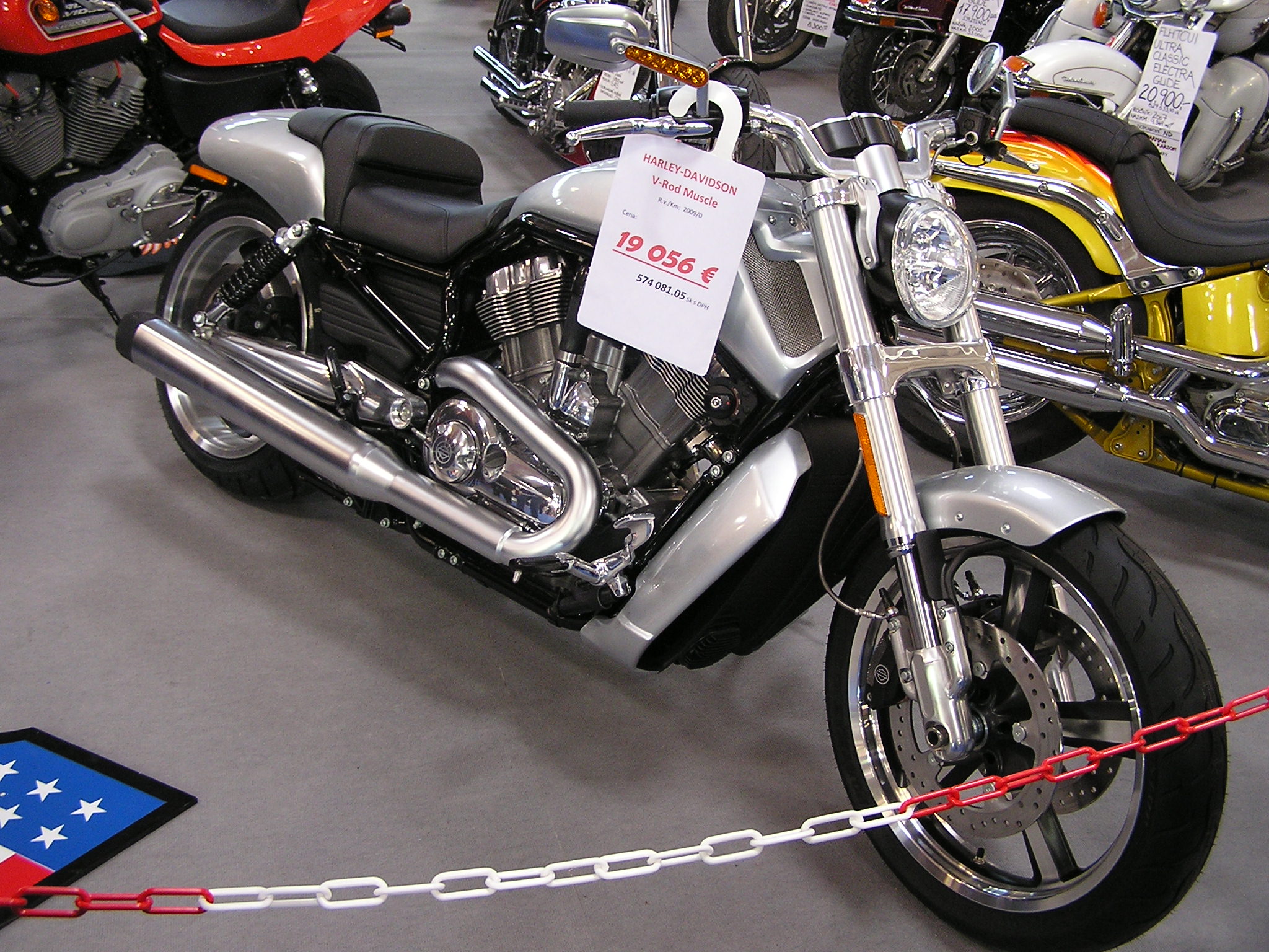 P1011619.JPG