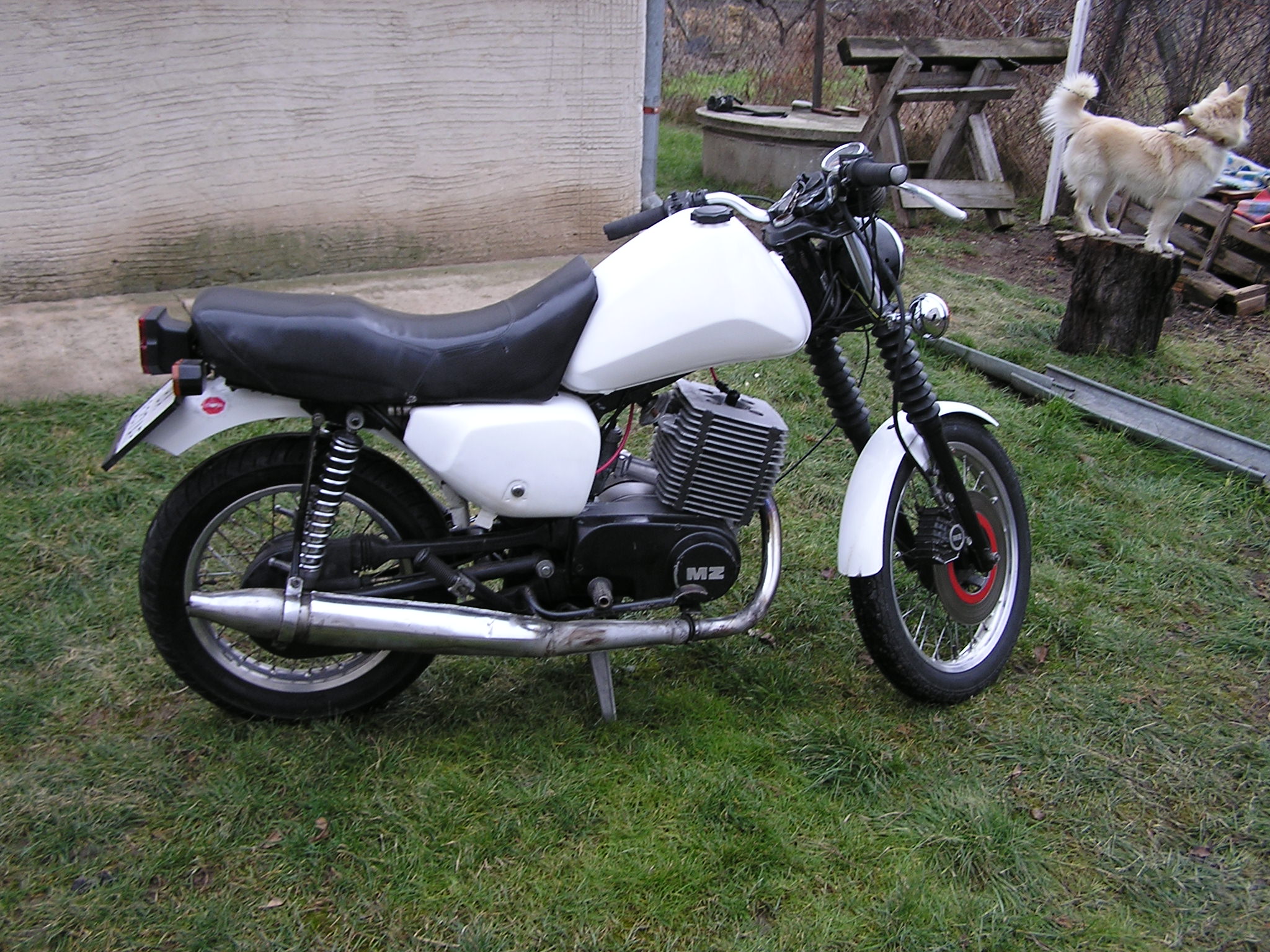 aaP1011481.JPG